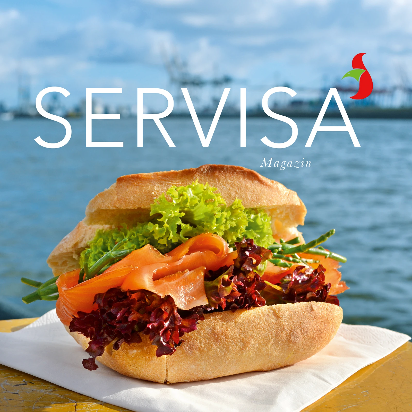 Servisa Banner